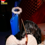 image_2b3113ab71f7.jpg