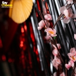 image_3b3dda946ab1.jpg