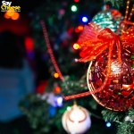 image_7d38b19bcebd.jpg
